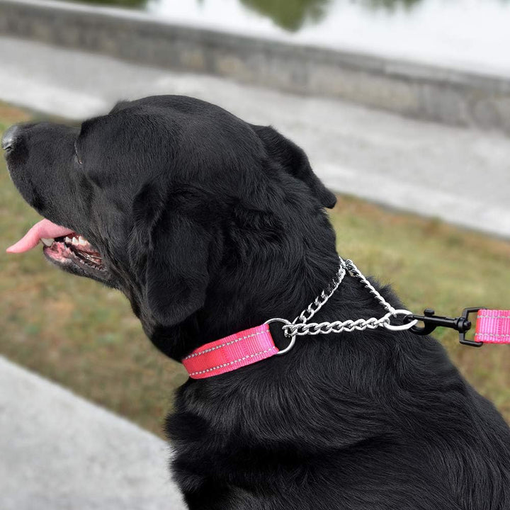 Martingale Dog Collar Training Adjustable Stainless Steel Chain Reflective Nylon Pet Collars for Medium Large Dogs (M, Neck Fit 14"-20", Pink)