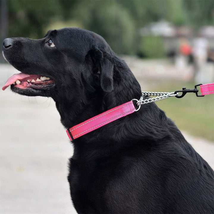 Martingale Dog Collar Training Adjustable Stainless Steel Chain Reflective Nylon Pet Collars for Medium Large Dogs (M, Neck Fit 14"-20", Pink)