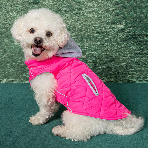 Weekender Dog Hoodies