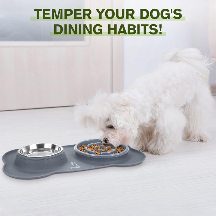 Slow Feeder Dog Bowls to Slow down Eating, No-Spill Non-Skid Silicone Mat, Food-Grade Safe Dog Food Bowls, Stainless Steel Water Bowl for Dogs Cats