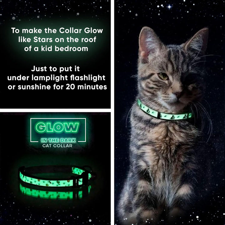 Glow in the Dark Cat Collar Kitten Collar with Safety Buckle and Removable Bell - Teal
