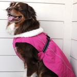Alpine Tuf Terrain Cotton Canvas Dog Coats - Adjustable