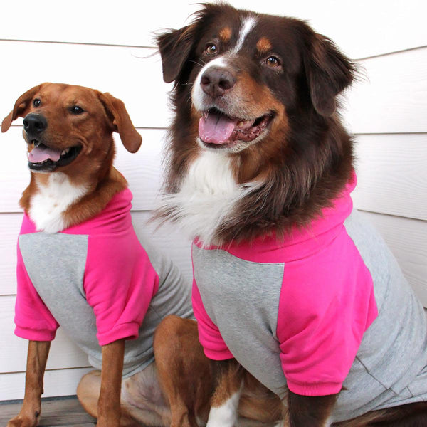 Color Block Flex Dog Hoodie (95% Cotton / 5% Spandex