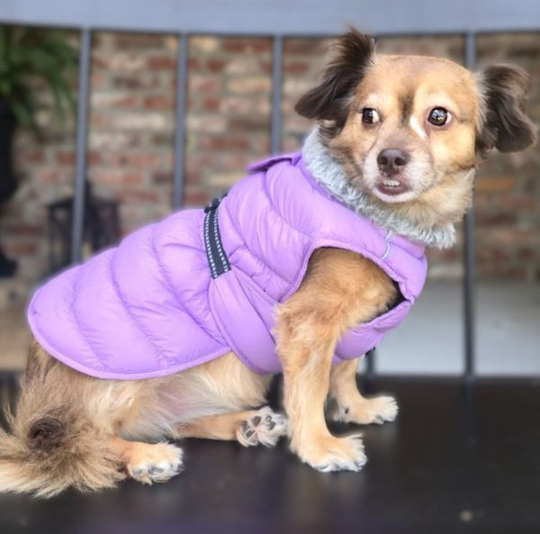 Alpine Extreme Cold Puffer Coat