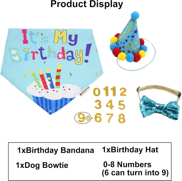 Dog Birthday Bandana Scarf and Party Hat with Cute Bow Tie for Medium Large Dog Pet (Large)
