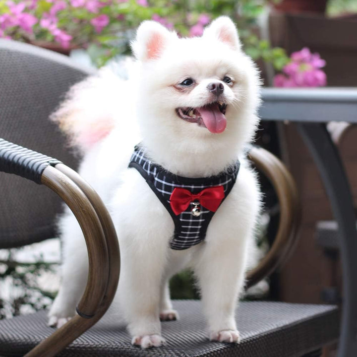Cat Harness and Leash Kitten Harness Cat Leash Rabbit Harness for Small Dogs Cat Harness Escape Proof with Bell and Bow-Knot Decoration Cat Outdoor Enclosures-Xs
