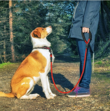 Reflective Dog Leash Nylon Rope For Small, Medium, or Large Dogs Walking Training Pet Supplies