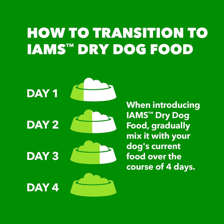 Large Breed Adult Dry Dog Food Lamb & Rice Recipe, 15 Lb. Bag