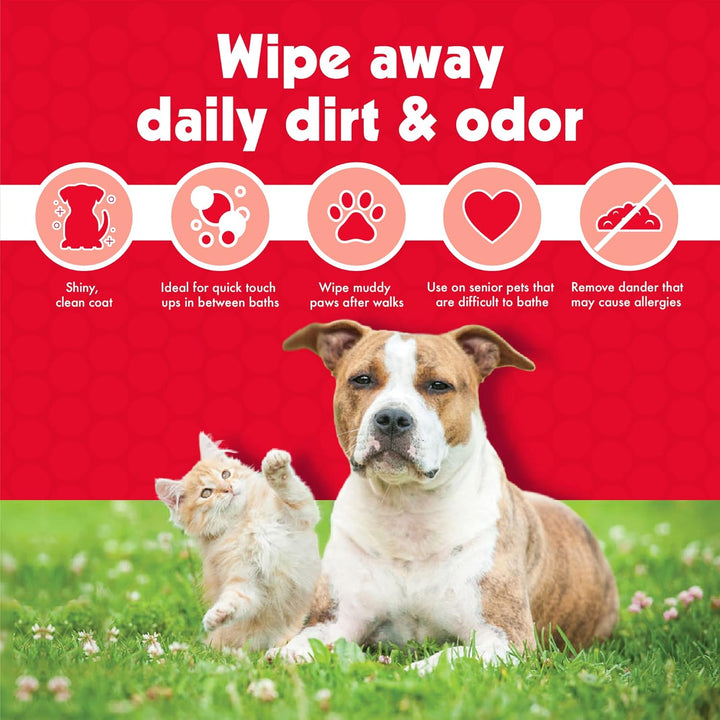 Pet Wipes for Dogs and Cats, 100 Large Wipes - Removes Dirt & Odor like Washing Hands  - 1 Pack of 100 Wipes