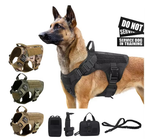 Pet Harness Luxury Dog Leash Set Chest Nylon Dog Harness