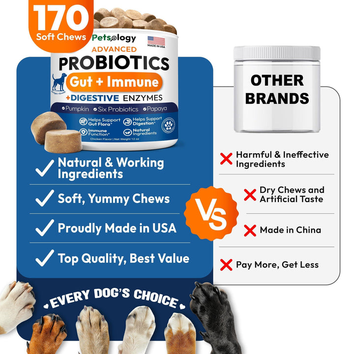 Probiotics for Dogs 170 Chews Dog Digestive Enzymes Prebiotics Support Gut