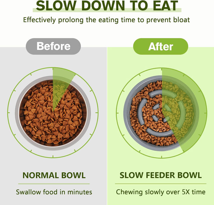 Slow Feeder Dog Bowls to Slow down Eating, No-Spill Non-Skid Silicone Mat, Food-Grade Safe Dog Food Bowls, Stainless Steel Water Bowl for Dogs Cats