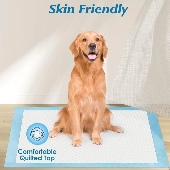 Pet Puppy Training Pads, 5-Layer Leak-Proof Pee Pads, 20 Count Disposable Dog Pee Pet Pads(17.7 X 13 Inches)