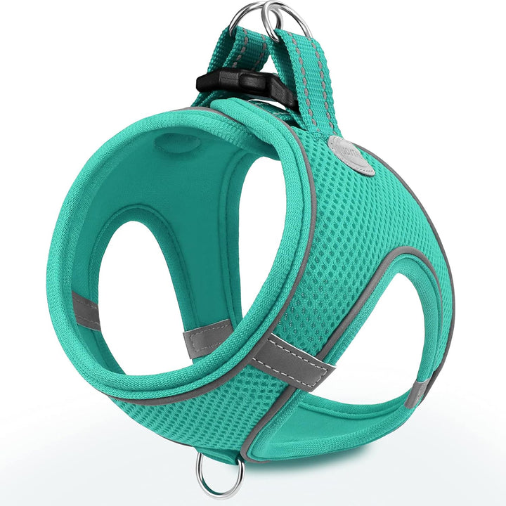 Small Dog Harness, Breathable Mesh Step-In Vest, Reflective Soft Padded Harnesses for Cats and Puppies Dogs, Teal, XXXS