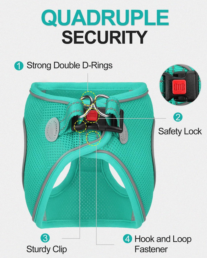 Small Dog Harness, Breathable Mesh Step-In Vest, Reflective Soft Padded Harnesses for Cats and Puppies Dogs, Teal, XXXS