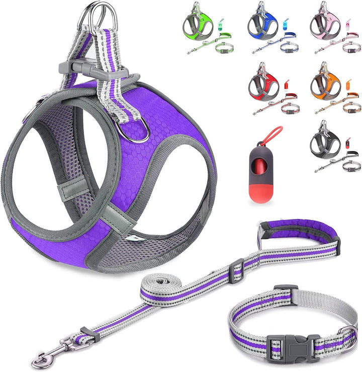 Small Dog Harness,Puppy Harness,Adjustable Leash and Collar Set for Small Dogs,Step-In Dog Harness,3M Reflective Pet Dog Vest for Small Medium Puppy