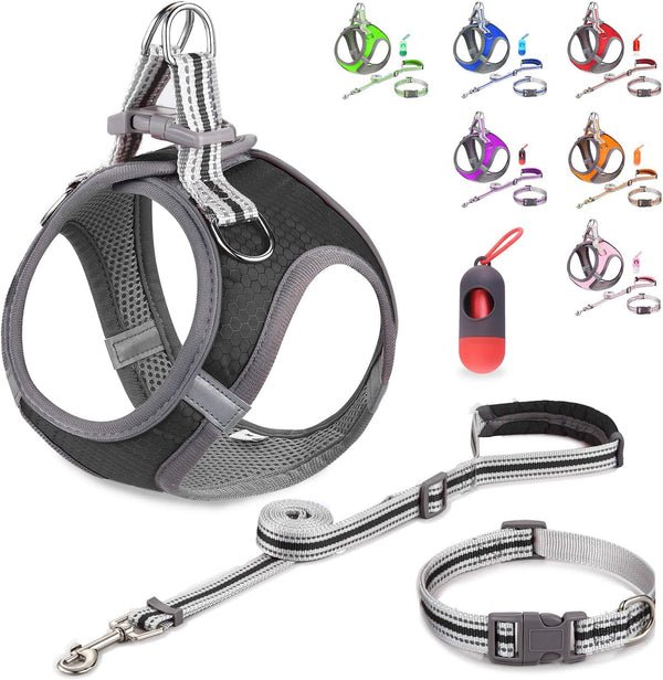 Small Dog Harness,Puppy Harness,Adjustable Leash and Collar Set for Small Dogs,Step-In Dog Harness,3M Reflective Pet Dog Vest for Small Medium Puppy