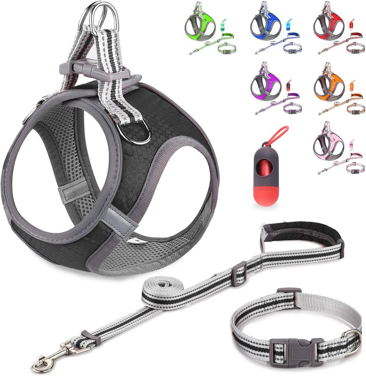 Small Dog Harness,Puppy Harness,Adjustable Leash and Collar Set for Small Dogs,Step-In Dog Harness,3M Reflective Pet Dog Vest for Small Medium Puppy