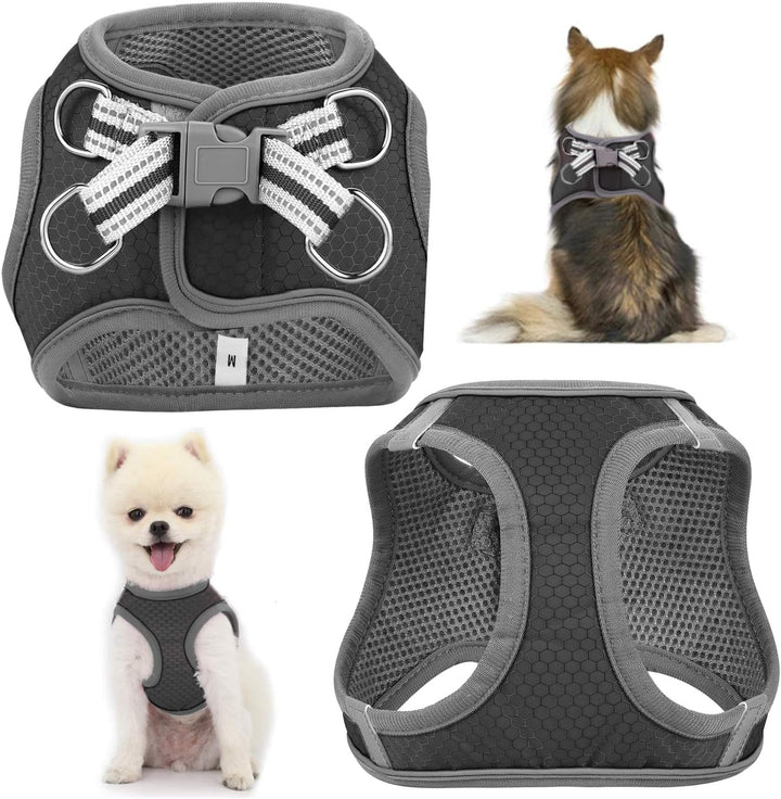 Small Dog Harness,Puppy Harness,Adjustable Leash and Collar Set for Small Dogs,Step-In Dog Harness,3M Reflective Pet Dog Vest for Small Medium Puppy