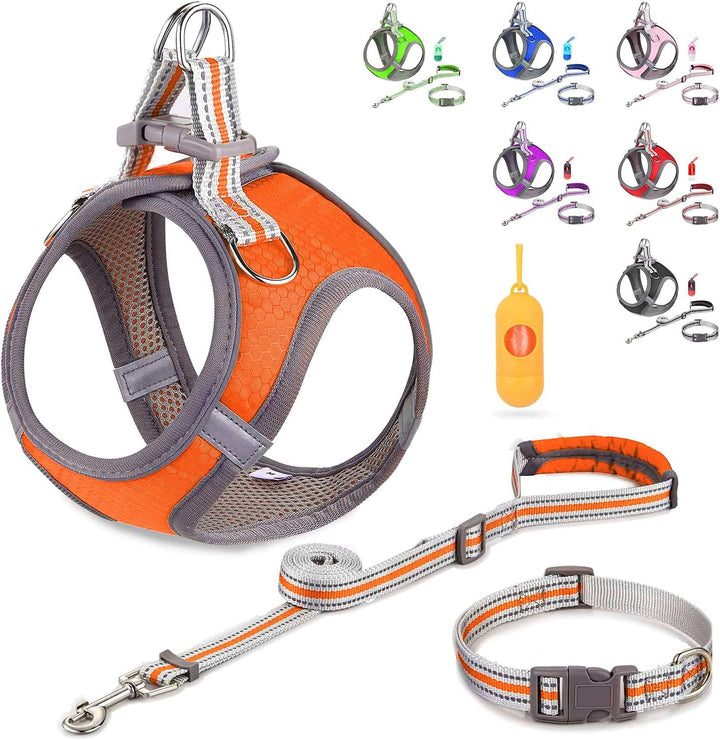 Small Dog Harness,Puppy Harness,Adjustable Leash and Collar Set for Small Dogs,Step-In Dog Harness,3M Reflective Pet Dog Vest for Small Medium Puppy