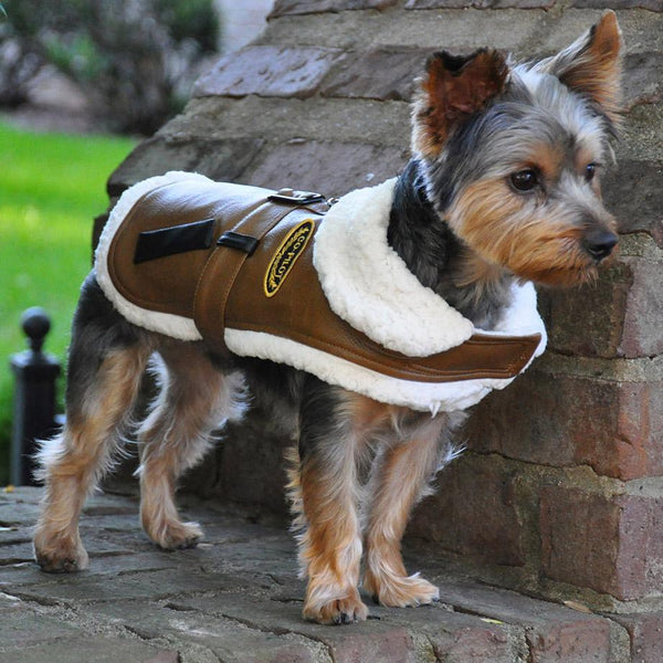 Dog Harness Coat with Leash