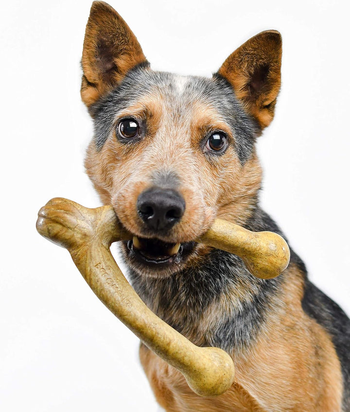 Wishbone Barkbone - Nylon Chew Toy for Aggressive Chewers - Peanut Butter Flavor - 6.75"
