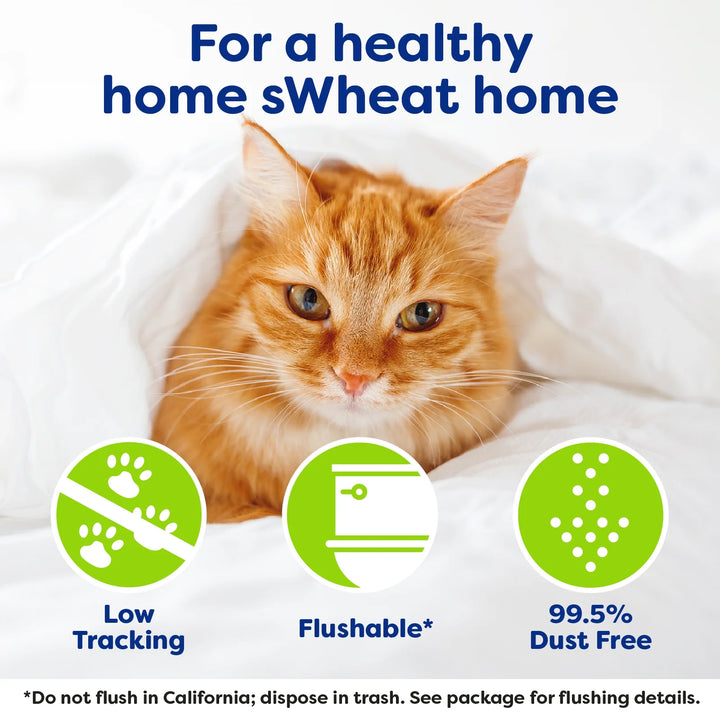 Multi-Cat Natural Clumping Wheat Cat Litter, 15Lb