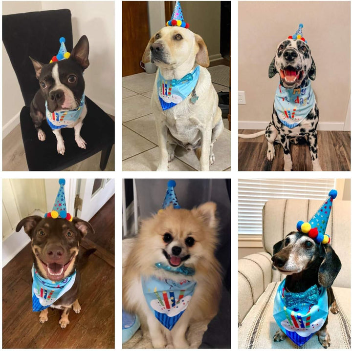 Dog Birthday Bandana Scarf and Party Hat with Cute Bow Tie for Medium Large Dog Pet (Large)