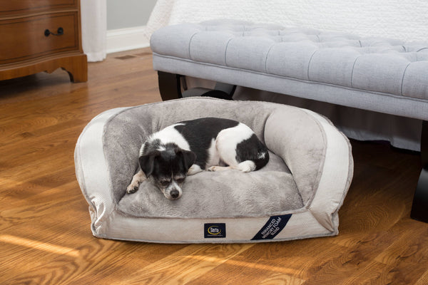 pedic Memory Foam Mini Couch Dog Bed, Grey, Small
