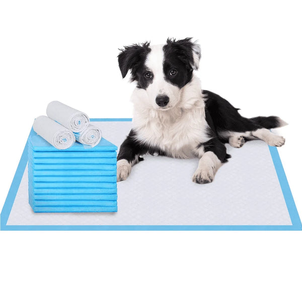 Pet Puppy Training Pads, 5-Layer Leak-Proof Pee Pads, 20 Count Disposable Dog Pee Pet Pads(17.7 X 13 Inches)