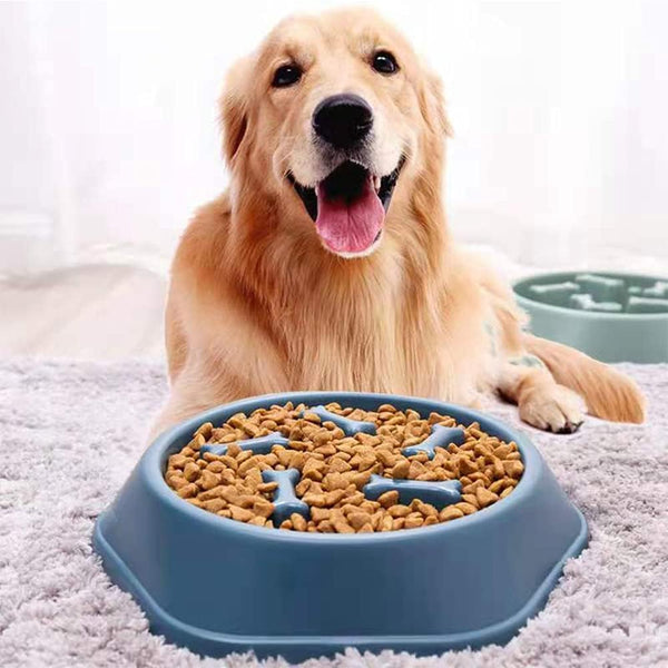 Slow Feeder Dog Cat Bowl, Durable Non Skid Pet Bowl Preventing Choking Healthy Design Bowls for Medium/Small Dogs Cats,Blue
