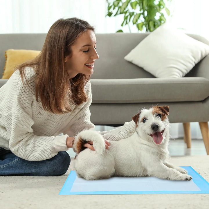 Pet Puppy Training Pads, 5-Layer Leak-Proof Pee Pads, 20 Count Disposable Dog Pee Pet Pads(17.7 X 13 Inches)