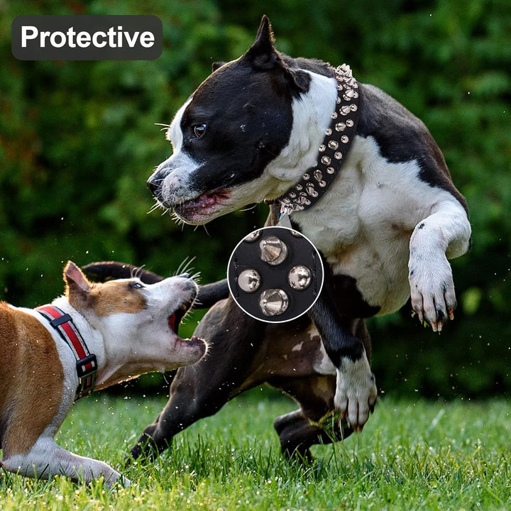 Dog Collars for Medium Dogs with Leash,  Spiked Dog Collar for Large Dogs, Dog Collar, Studded Rivet Pit Bull Leather Dog Collar Durable Cat Collar for Small Medium Large Pet Gift