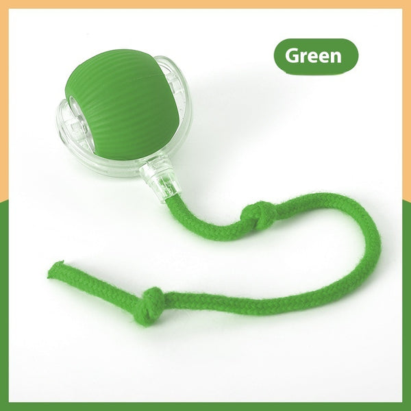 Interactive Cat Toy Super Drive Rolling Ball