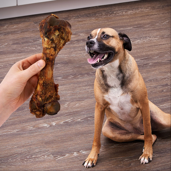 (2 Pack) Ol' Roy Natural Pork Femur Chew for Dogs, 9.28 Oz