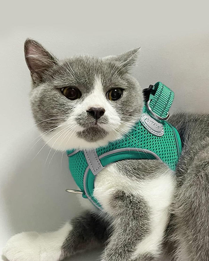 Small Dog Harness, Breathable Mesh Step-In Vest, Reflective Soft Padded Harnesses for Cats and Puppies Dogs, Teal, XXXS