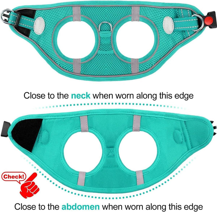 Small Dog Harness, Breathable Mesh Step-In Vest, Reflective Soft Padded Harnesses for Cats and Puppies Dogs, Teal, XXXS