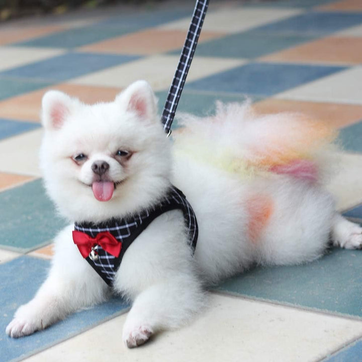 Cat Harness and Leash Kitten Harness Cat Leash Rabbit Harness for Small Dogs Cat Harness Escape Proof with Bell and Bow-Knot Decoration Cat Outdoor Enclosures-Xs