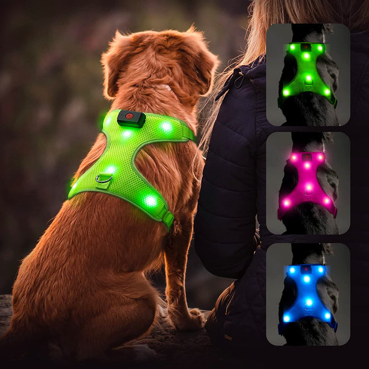 LED Dog Harness, Lighted up USB Rechargeable Pet Harness, Illuminated Reflective Glowing Dog Vest Adjustable Soft Padded No-Pull Suit for Small, Medium, Large Dogs (Blue, S)