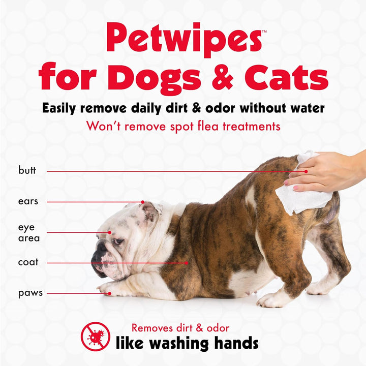 Pet Wipes for Dogs and Cats, 100 Large Wipes - Removes Dirt & Odor like Washing Hands  - 1 Pack of 100 Wipes