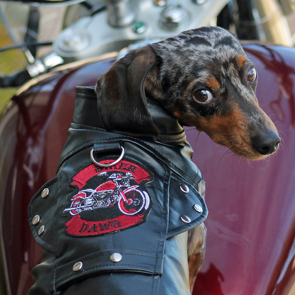 Biker Dawg Motorcycle Jackets