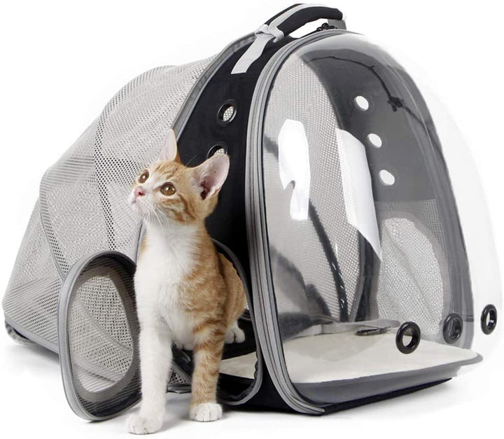 Cat Bubble Backpack with Fan, Fit up to 12 Lbs, Space Capsule Astronaut Clear Window Pet Travel Carrier Backpack for Cat and Small Puppy