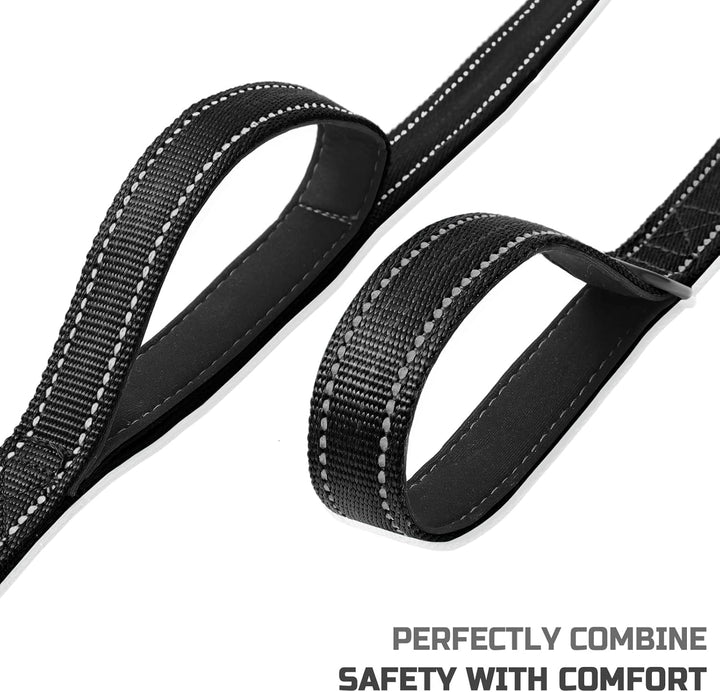 6Ft Dog Leash with 2 Padded Handles, Heavy Duty Rope with 3M Reflective, Double Handles for Traffic Control Safety, Perfect for Small to Large Dogs