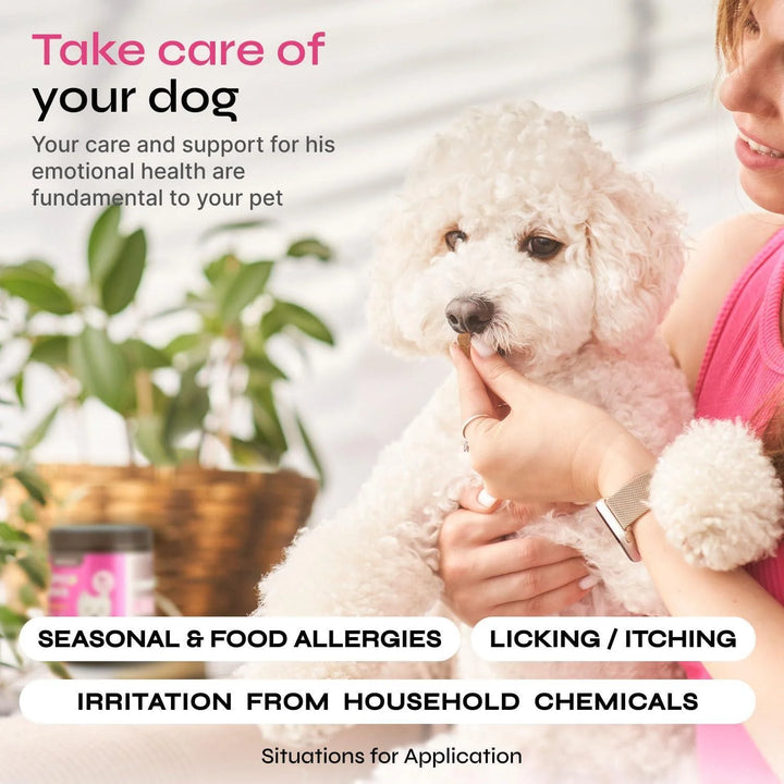 Dog Allergy Relief Chews Dog Itching Skin Relief anti Itch for Dogs Dog Itch